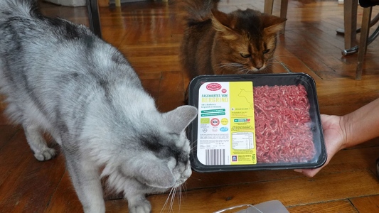 Aldo-Approved-Frischesiegel-2-Faschiertes-vom-Bergrind-2s