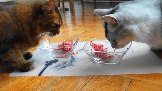 Aldo-Approved-Frischesiegel-2-Faschiertes-vom-Bergrind-4s