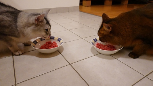 Aldo-Approved-Frischesiegel-3-Faschiertes-vom-Bergrind-4