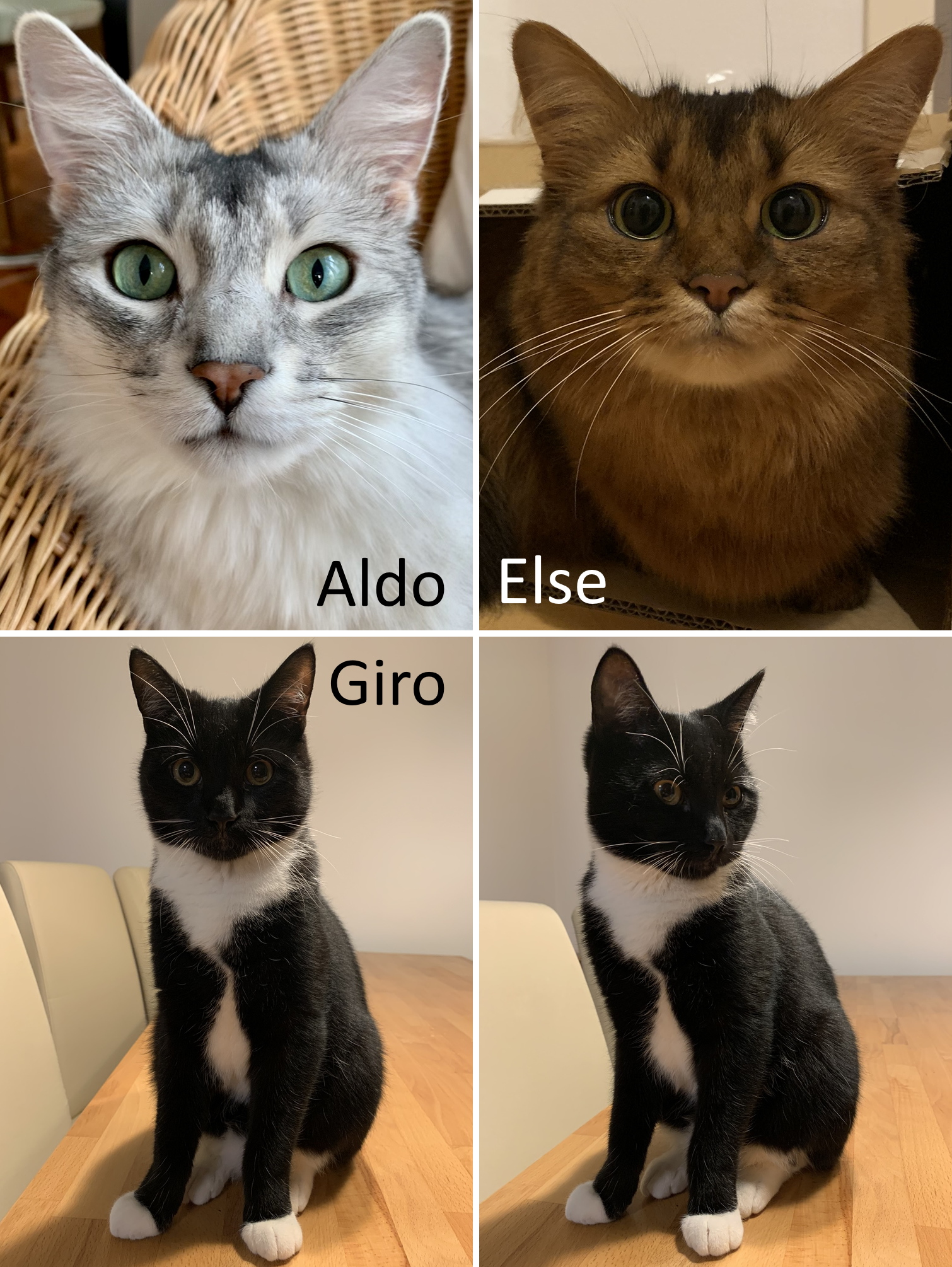 Aldo & Else & Giro